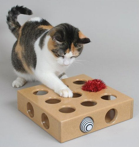 holes, and the Smartcat Toy Box has got lots of them to choose from